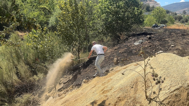Sakarya'da çıkan orman yangını büyümeden kontrol altına alındı