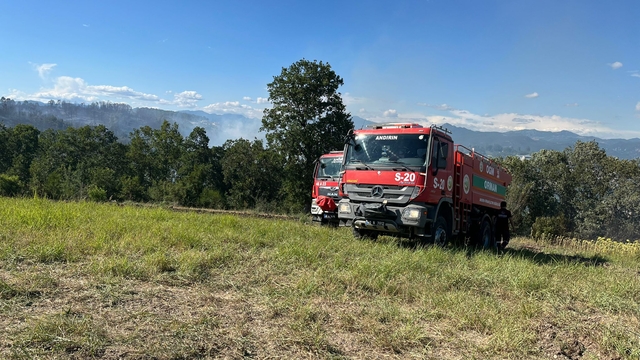Kahramanmaraş'ta çıkan orman yangını söndürüldü