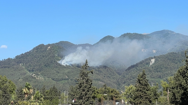 Hatay Dörtyol'da orman yangını çıktı