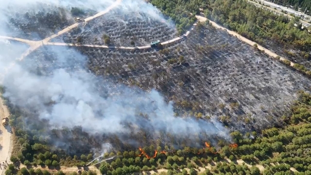 Kocaeli'de ağaçlık bölgede yangın (2)