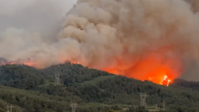 Hatay'da orman yangını (2)