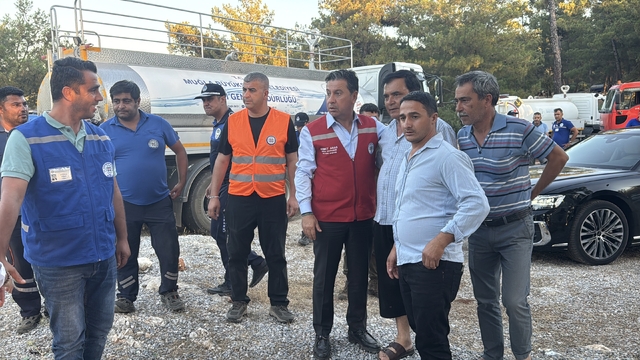 GÜNCELLEME 2 - Milas'ta iki bölgede çıkan orman yangınlarından biri kontrol altına alındı