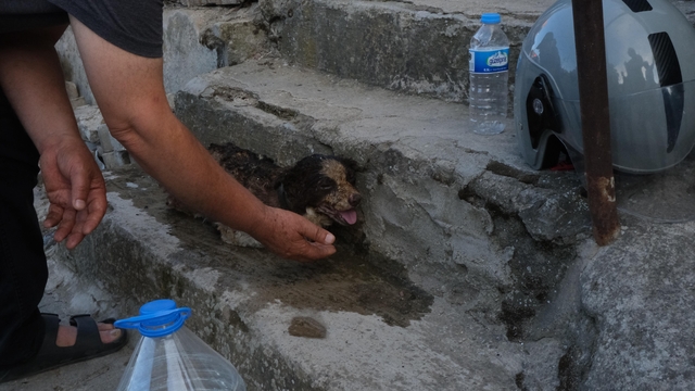 Edirne'de otluk alanda çıkan yangın söndürüldü