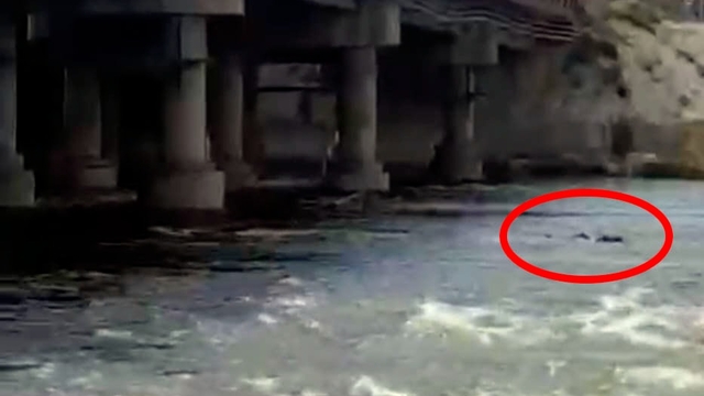 İddia üzerine köprüden Kızılırmak'a atlayan genç kayboldu