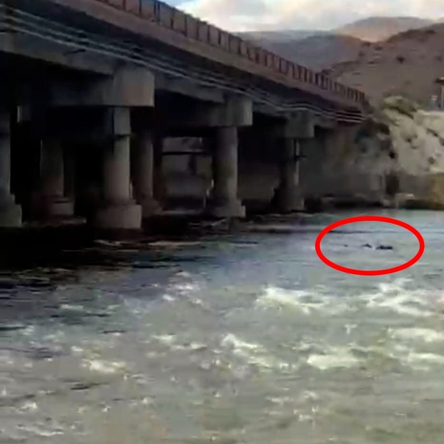 İddia üzerine köprüden Kızılırmak'a atlayan genç kayboldu