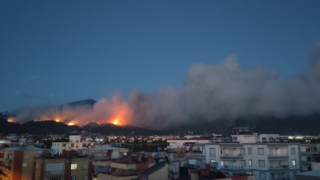 Hatay'da orman yangını (3)