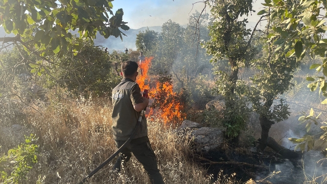 Gabar Dağı'ndaki orman yangını 11 saatte kontrol altında