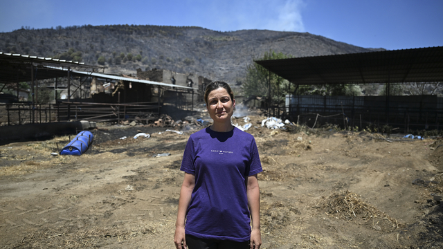 Yangında evini ve ahırını kaybetti, alevlerden kurtulan 4 ineği tesellisi oldu