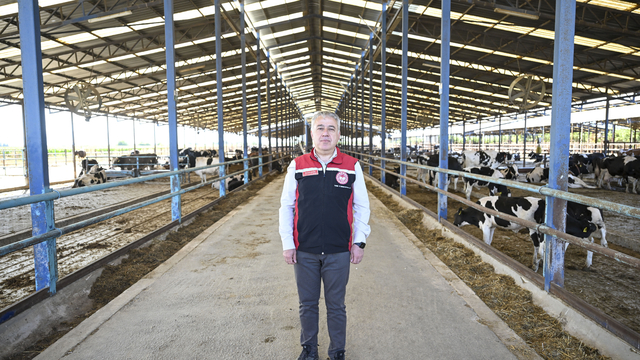 İzmir Ödemiş'te yangın bölgesinden tahliye edilen hayvanlara özel bakım