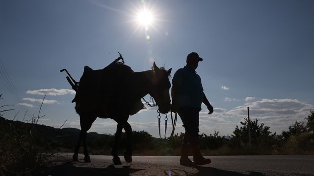 "Köroğlu" ismini verdiği bir gözü görmeyen atıyla Erciyes'in yamaçlarındaki bahçeleri sürüyor