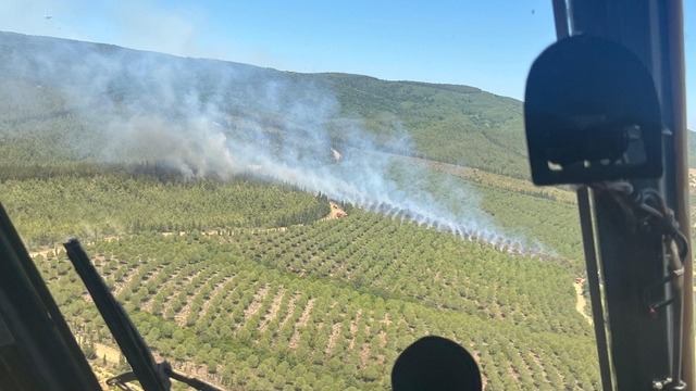 Çanakkale'de ormanlık alana sıçrayan yangına müdahale ediliyor