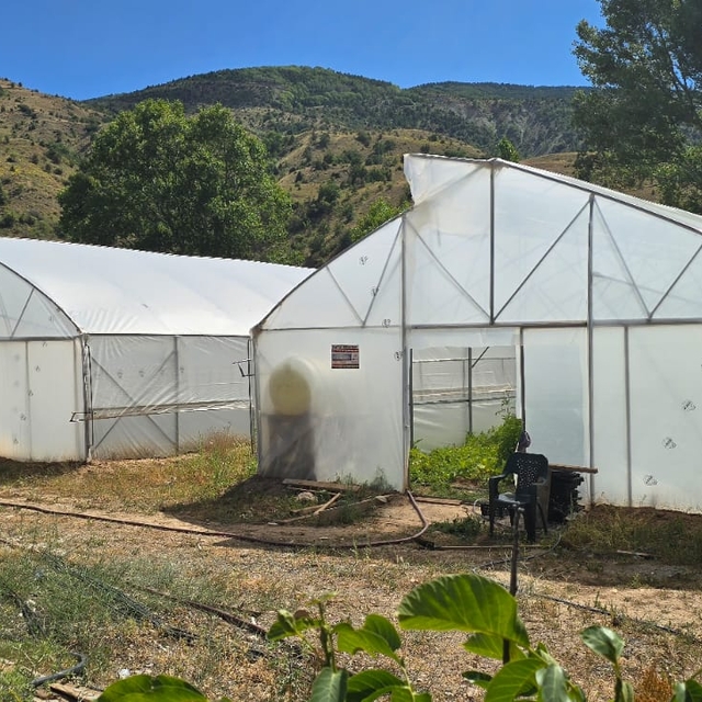 Çamoluk'ta tarımsal projeler meyvelerini vermeye başladı