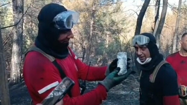 İzmir'de orman yangınında can çekişirken bulunan balığı itfaiye kurtardı