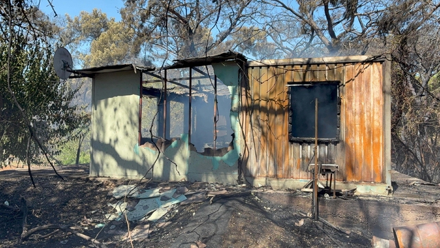 Antalya'da orman yangını (3)