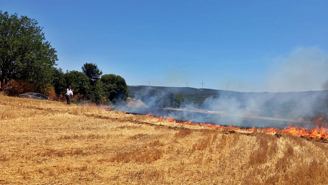 Gelibolu'da anız yangını söndürüldü