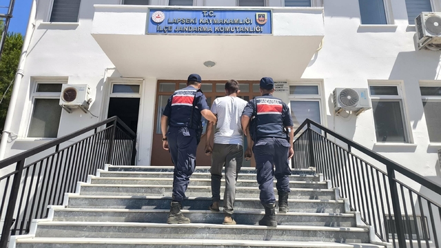 Çanakkale'de orman yangını (2)