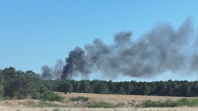 Edirne'de ormanlık alanda çıkan yangın söndürüldü
