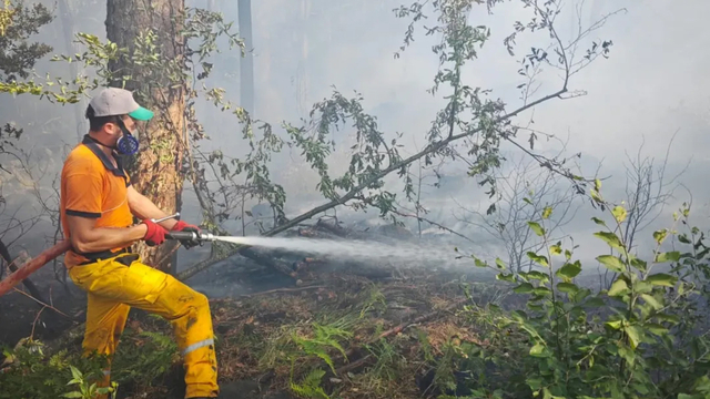 Uludağ'da çıkan orman yangını kontrol altına alındı