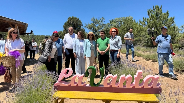 Nallıhan'da "Lavanta Hasat Şenliği" düzenlendi