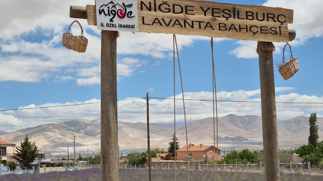 Lavanta bahçesiyle köy, turizm merkezi haline geldi