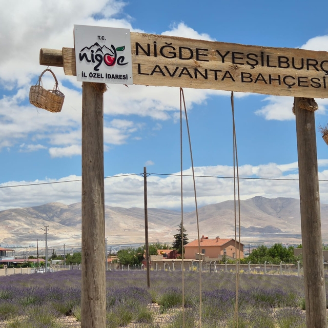 Lavanta bahçesiyle köy, turizm merkezi haline geldi