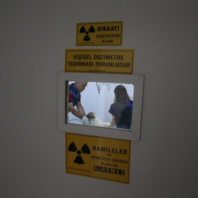 Kahramanmaraş'taki Kapıçam Bakımevi sokak hayvanlarına hem yuva hem şifa ol...