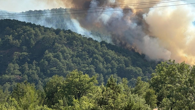 Bolu'nun Göynük ilçesinde çıkan orman yangınına müdahale ediliyor
