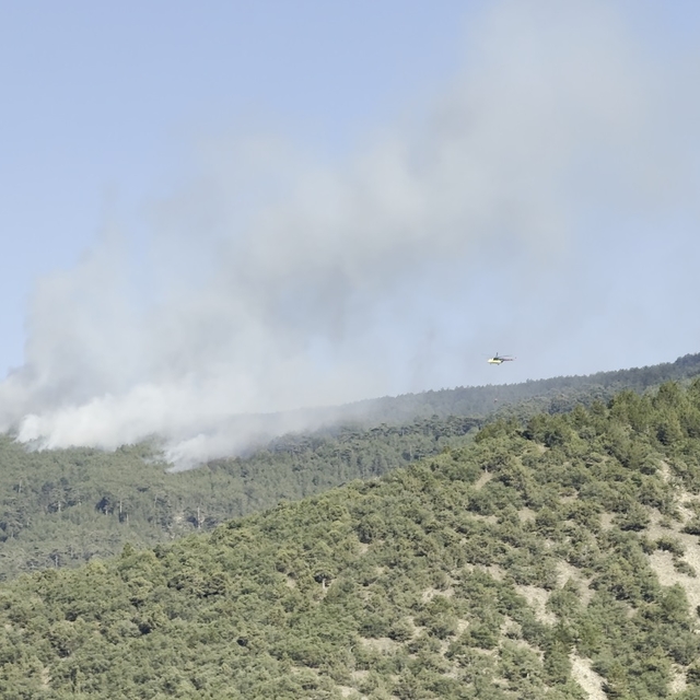 Çankırı'da orman yangını