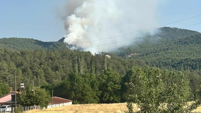 Bolu'da orman yangını