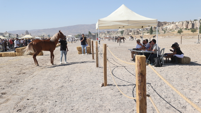 Kapadokya'da "At Güzellik Yarışması" düzenlendi