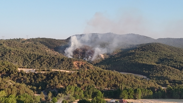 Bolu'da orman yangını (2)