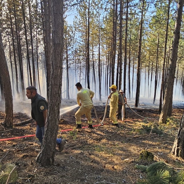 GÜNCELLEME - Çankırı'nın Ilgaz ilçesinde ormanlık alanda çıkan yangın kontr...