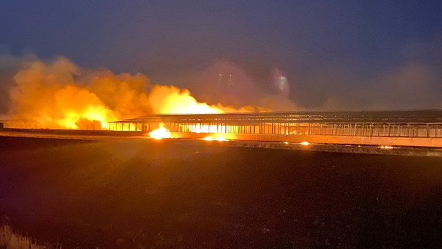 Diyarbakır'da tarım alanında çıkan yangın söndürüldü