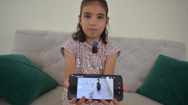 Küçük Cudi, büyüttükleri 2 ördeği çalanlara seslendi: Bebekliklerinden beri bakıyorum, lütfen getirin