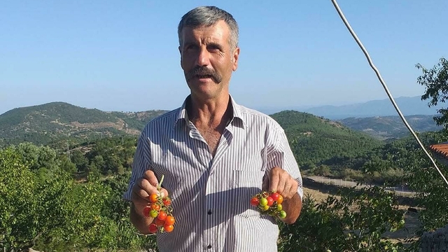 Ailesiyle gittiği piknikte kayboldu