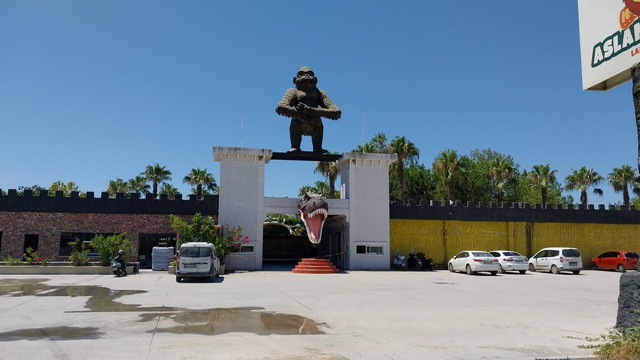 Galeri