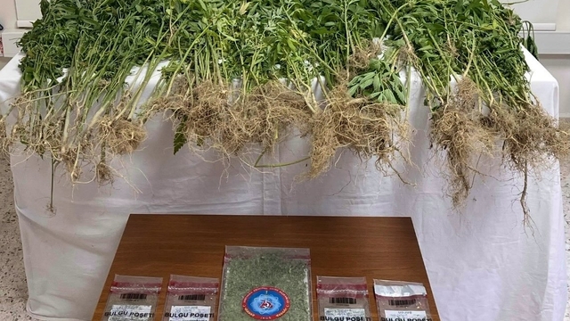 Denizli'de uyuşturucu operasyonunda 1 şüpheli tutuklandı