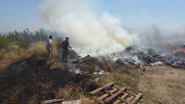 Bursa'da çalılık yangını, 1 saatte söndürüldü