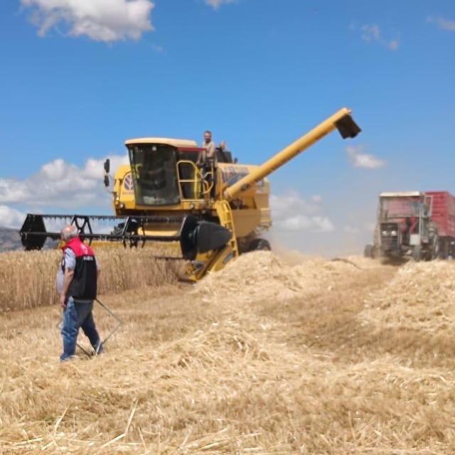 Gümüşhacıköy'de dane kaybına karşı biçerdöver kontrolleri başladı