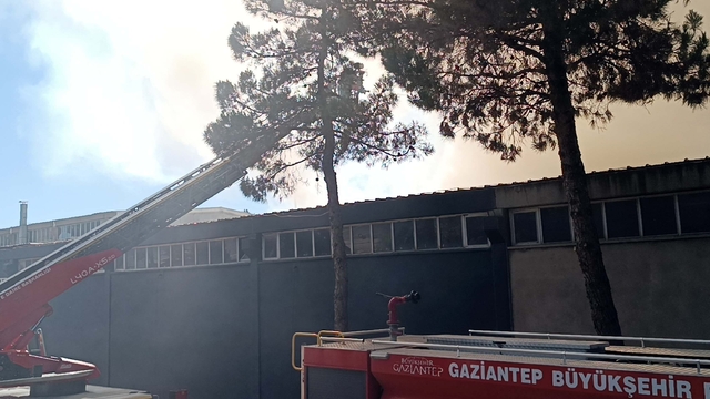 Gaziantep'te halı fabrikasında yangın