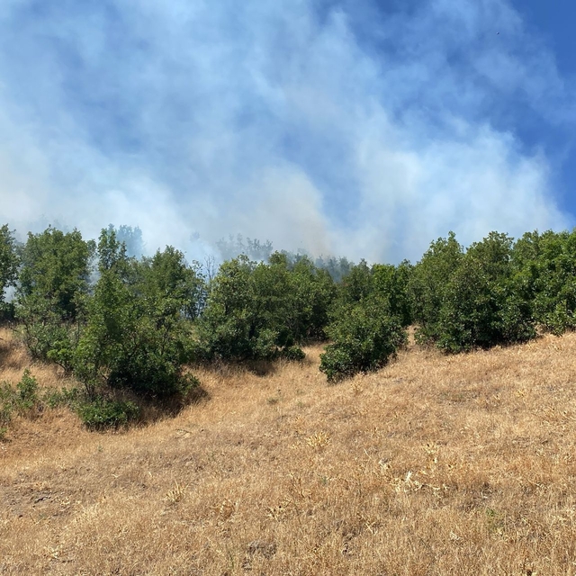 Bingöl'de çıkan orman yangını kontrol altına alındı