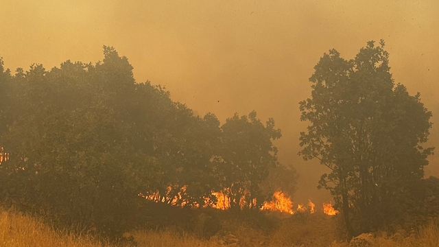 Mardin'de örtü yangını, 3 saatte söndürüldü