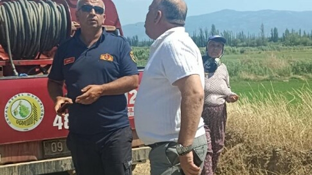 Aydın'da makilik ve zeytinlik alanda yangın çıktı (2)