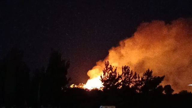 Hatay'da makilik yangını kısa sürede söndürüldü