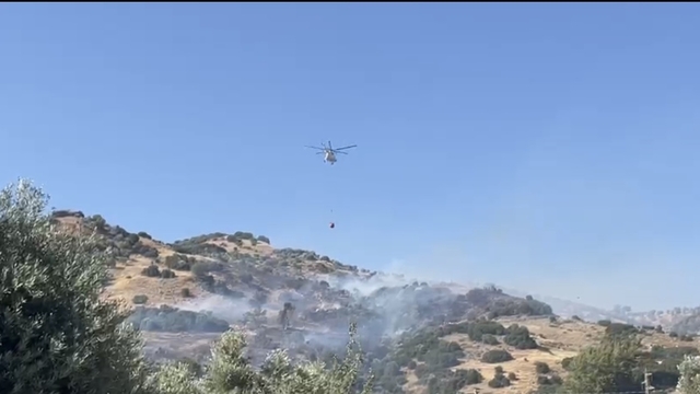 Aydın'da makilik ve zeytinlik alanda yangın (3)