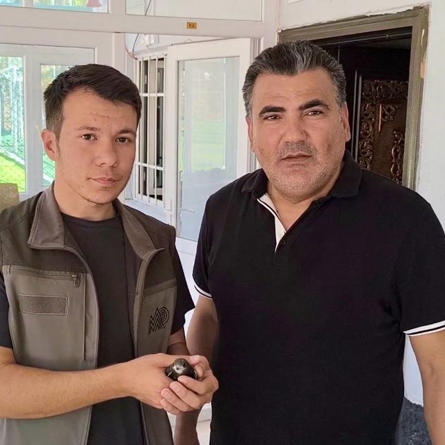 Kırşehir'de halı sahada bitkin halde ebabil kuşu bulundu