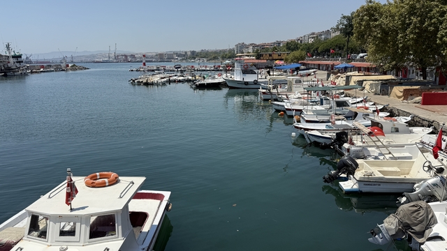 Tekirdağ'da istavrit tezgahları süsledi