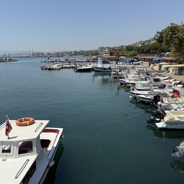 Tekirdağ'da istavrit tezgahları süsledi
