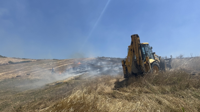 Samsun'da çıkan yangında yaklaşık 50 dönüm tarım arazisi zarar gördü