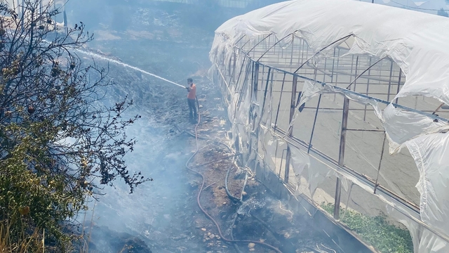 Antalya'da çalılık alanda başlayıp seralara sıçrayan yangın söndürüldü